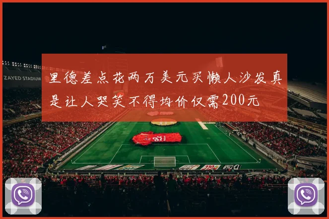 里德差点花两万美元买懒人沙发真是让人哭笑不得均价仅需200元