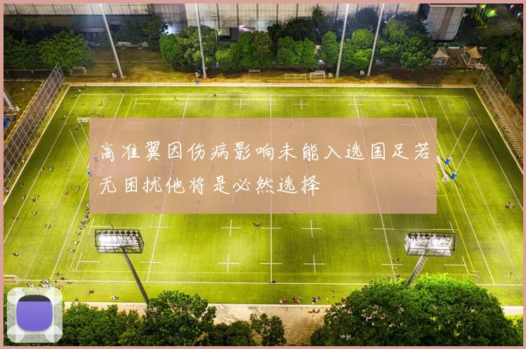 高准翼因伤病影响未能入选国足若无困扰他将是必然选择